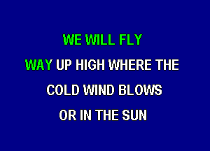 WE WILL FLY
WAY UP HIGH WHERE THE

COLD WIND BLOWS
OR IN THE SUN
