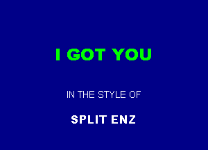 I GOT YOU

IN THE STYLE OF

SPLIT ENZ