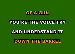 OF A GUN
YOU'RE THE VOICE TRY
AND UNDERSTAND IT

DOWN THE BARREL