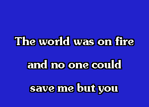 The world was on fire

and no one could

save me but you