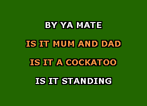 BY YA MATE

IS IT MUM AND DAD

IS IT A COCKATOO

IS IT STAN DING