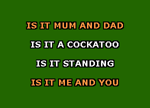 IS IT MUM AND DAD
IS IT A COCKATOO

IS IT STAN DING

IS IT ME AND YOU