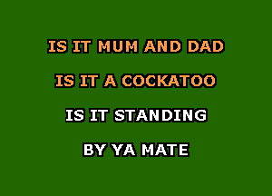 IS IT MUM AND DAD

IS IT A COCKATOO

IS IT STAN DING

BY YA MATE