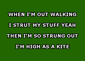 WHEN I'M OUT WALKING
I STRUT MY STUFF YEAH
THEN I'M SO STRUNG OUT

I'M HIGH AS A KITE