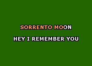 SORRENTO MOON

HEY I REMEMBER YOU