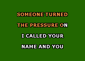 SOMEONE TURNED
THE PRESSURE ON

I CALLED YOUR

NAME AND YOU
