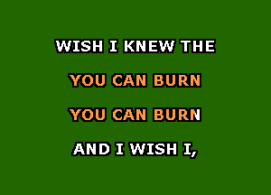 WISH I KNEW THE
YOU CAN BURN

YOU CAN BURN

AND I WISH I,