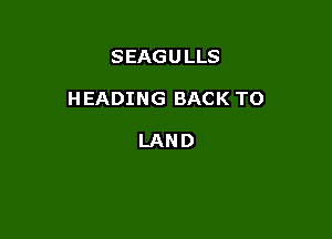 SEAGU LLS

HEADING BACK TO

LAND