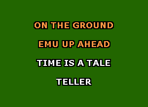 ON THE GROUND

EMU UP AHEAD

TIME IS A TALE

TELLER