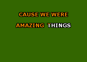 CAUSE WE WERE

AMAZING THINGS