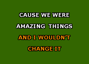 CAUSE WE WERE
AMAZING THINGS

AND I WOULDN'T

CHANGE IT