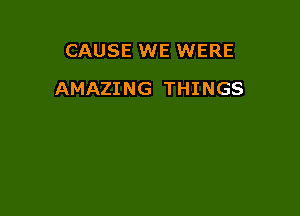 CAUSE WE WERE

AMAZING THINGS