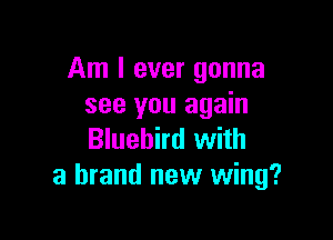 Am I ever gonna
see you again

Bluebird with
a brand new wing?