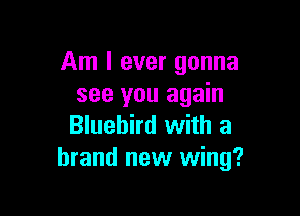 Am I ever gonna
see you again

Bluebird with a
brand new wing?