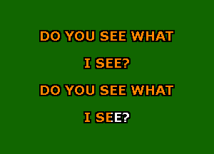 DO YOU SEE WHAT
I SEE?

DO YOU SEE WHAT

I SEE?