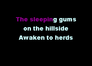 The sleeping gums
on the hillside

Awaken to herds