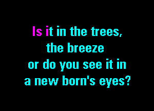 Is it in the trees,
the breeze

or do you see it in
a new horn's eyes?