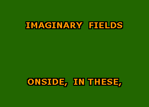 IMAGINARY FIELDS

ONSIDE, IN THESE,