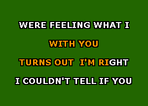 WERE FEELING WHAT I
WITH YOU
TURNS OUT I'M RIGHT

I COULDN'T TELL IF YOU