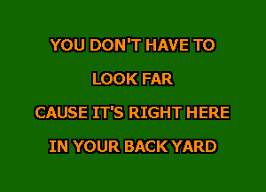 YOU DON'T HAVE TO
LOOK FAR

CAUSE IT'S RIGHT HERE

IN YOUR BACK YARD