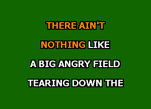 THERE AIN'T

NOTHING LIKE
A BIG ANGRY FIELD
TEARING DOWN THE