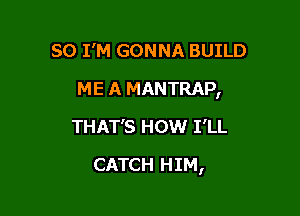 SO I'M GONNA BUILD

ME A MANTRAP,

THAT'S HOW I'LL
CATCH HIM,