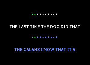 )k)k)k)k)k)k)k)k)k)k

THE LAST TIME THE DOG DID THAT

)k)k)k)k)k)k)k)k)k)k

THE GALAHS KNOW THAT IT'S