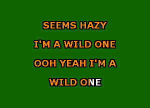 SEEMS HAZY

I'M A WILD ONE

00H YEAH I'M A
WILD ONE