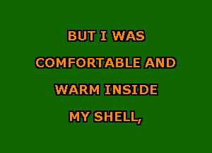 BUT I WAS
COMFORTABLE AND
WARM INSIDE

MY SHELL,