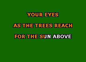 YOU R EYES

AS THE TREES REACH

FOR THE SUN ABOVE
