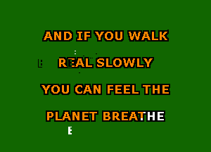 AND IF YOU WALK

REAL SLOWLY

YOU CAN FEEL THE

PLANET BREATHE
E
