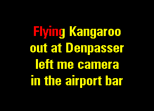 Flying Kangaroo
out at Denpasser

left me camera
in the airport bar