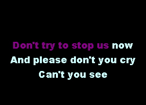 Don't try to stop us now

And please don't you cry
Can't you see