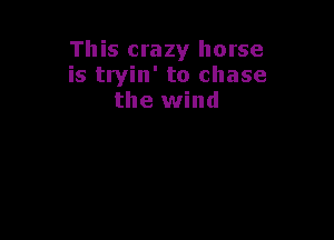 This crazy horse
is tryin' to chase
the wind