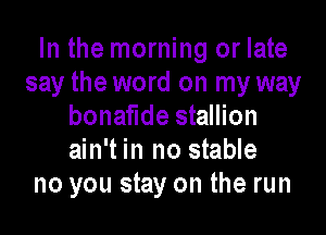 In the morning or late
say the word on my way
bonaflde stallion

ain't in no stable
no you stay on the run