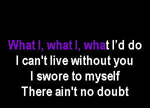 What I, what I, what I'd do

I can't live without you
I swore to myself
There ain't no doubt