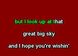 but I look up at that

great big sky

and I hope you're wishin'