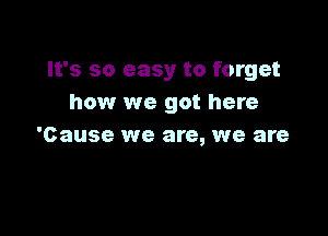 It's so easy to forget
how we got here

'Cause we are, we are