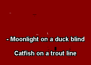 - Moonlighi on a duck blind

Catfish on a trout line