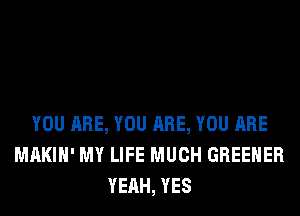 YOU ARE, YOU ARE, YOU ARE
MAKIH' MY LIFE MUCH GREEHER
YEAH, YES
