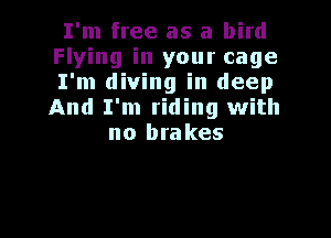 I'm free as a bird

Flying in your cage
I'm diving in deep
And I'm riding with

no brakes