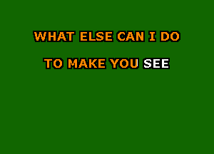 WHAT ELSE CAN I DO

TO MAKE YOU SEE