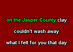 on the Jasper County clay

couldn't wash away

what I felt for you that day