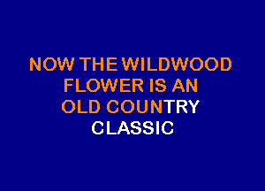 NOW THE WILDWOOD
FLOWER IS AN

OLD COUNTRY
CLASSIC