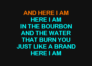 AND HERE I AM
HERE I AM
IN THE BOURBON

AND THE WATER
THAT BURN YOU
JUST LIKE A BRAND
HERE I AM