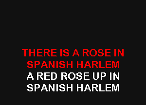 A RED ROSE UP IN
SPANISH HARLEM