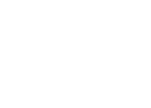 THEY CALL US

EVERYTHING
FOR THE WAY
THATWE SING