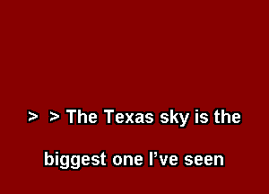 The Texas sky is the

biggest one We seen