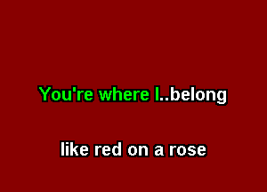 You're where l..belong

like red on a rose