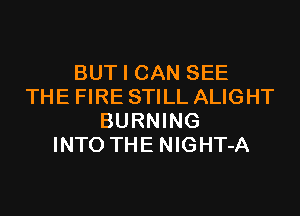 BUT I CAN SEE
THE FIRE STILL ALIGHT

BURNING
INTO THE NlGHT-A